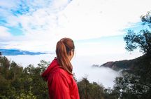 Explore Nature View And Homestay Experience