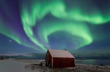 Northern Lights Hunt Including Snacks on Campfire from Levi