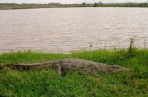 1 Day Tour Nairobi National Park,Giraffe Center&Karen Blixen