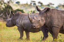Hluhluwe-Imfolozi Park Full Day Big 5 Safari Tour