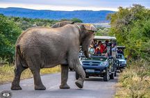 Hluhluwe-Imfolozi Park Full Day Big 5 Safari Tour