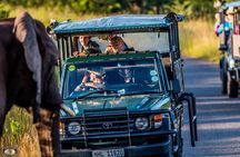 Hluhluwe-Imfolozi Park Full Day Big 5 Safari Tour