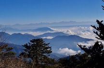 Darjeeling Tonglu Day Trek 