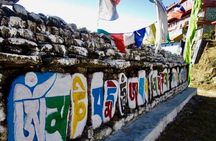Darjeeling Tonglu Day Trek 
