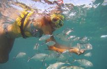 Happy Hour Sailing Cruise from Punta Cana