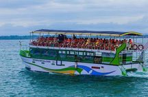 Whale & Dolphin Watching Day Tour including Handunugoda Teafactory 