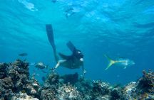 Happy Hour Sailing Cruise from Punta Cana