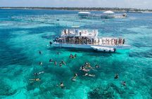 Marinarium Snorkeling Cruise from Punta Cana