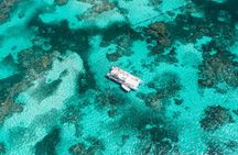 Marinarium Snorkeling Cruise from Punta Cana