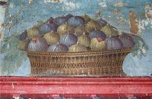 Skip the line Private tour of Pompeii from Sorrento
