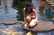Spectacular Eastern Bali Tour