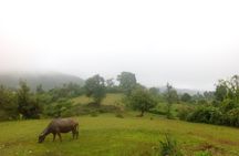 Trekking Kalaw to Inle Lake