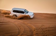 Morning Desert Safari Dubai Private Tour