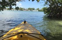 Key West Kayak Rental