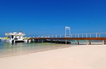 Marinarium Snorkeling Cruise from Bayahibe