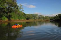 Mangrove Kayak 