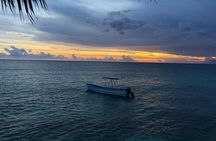 Bahía de las águilas glamping experience from Santo Domingo