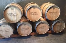 6-Hour Private Wine Country Tour of Napa Valley (up to 6 people) in Large SUV