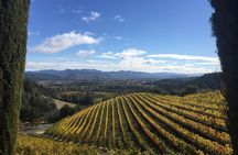 6-Hour Private Wine Country Tour of Napa Valley (up to 6 people) in Large SUV