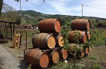 8-Hours Private SUV (up to 6 Passengers) San Francisco to Napa Valley Wine Tour