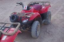 Half Day Tour To Giza Pyramids And 1 Hour Quad Bike At The Desert