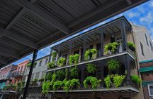 Private New Orleans Historical Sightseeing Tour with Hotel Pickup