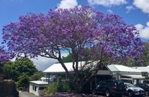 Byron Bay and Beyond Tour Including Cape Bryon Lighthouse Crystal Castle and Bangalow