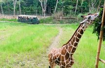 Cebu Safari Journeys 