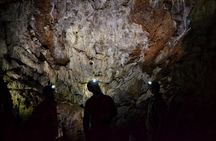Riverbend Cave Explorer