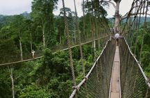 Accra to Cape Coast to Elmina Heritage Tour