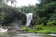 Best Of Bali 3 Days Famous Tour Packages