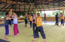 Morning Course - Shaolin Kung Fu and Qigong Training