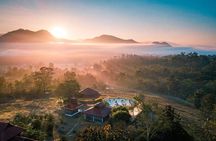 Morning Shaolin Kung Fu and Qigong Training