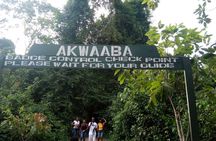 Accra to Cape Coast to Elmina Heritage Tour