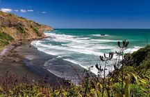Coast to Coast Private Eco Tour