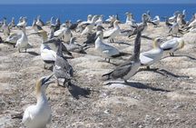 Coast to Coast Private Eco Tour