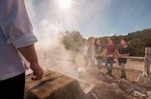 Auckland to Hobbiton Movie Set and Rotorua's Geothermal Valley