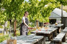 Private Tour - Horse Riding, Wine Tasting and Art Trail 