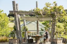 Private Tour - Horse Riding, Wine Tasting and Art Trail 