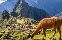 2-Day: Machu Picchu By Train from Cusco