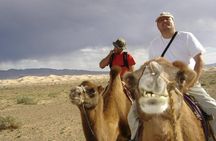 1 Day Semi-Gobi Tour with Lunch And Enjoying Camel or Horseback