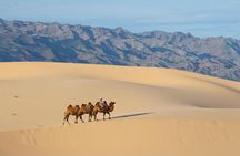 1 Day Semi-Gobi Tour with Lunch And Enjoying Camel or Horseback