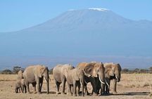 6-Day Group Joining Safari- Nairobi, Nakuru, Naivasha & Amboseli