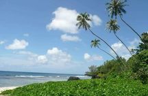 Namua Turtle Island and Eastern Upolu Tour