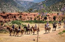 Horse Ride at the Marrakech Desert