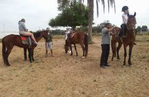 Horse Ride at the Marrakech Desert