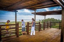 iSimangaliso Wetland Park, Full Day Tour