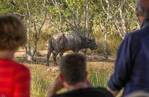 iSimangaliso Wetland Park, Full Day Tour