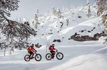 Electric Fatbike Tour in the Pyhä-Luosto National Park