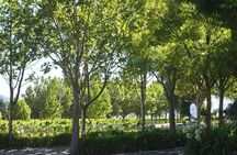Marlborough Wine Region Tour from the Port of Picton